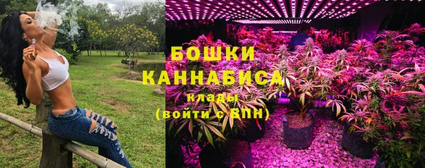 дживик Володарск