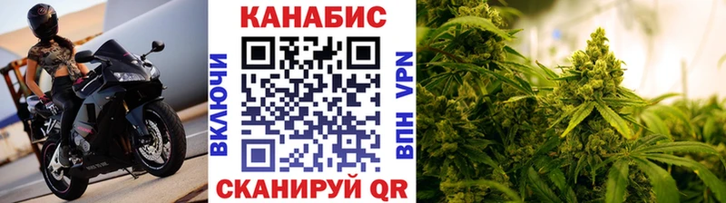 Бошки Шишки SATIVA & INDICA  Купить закладки  Купино 